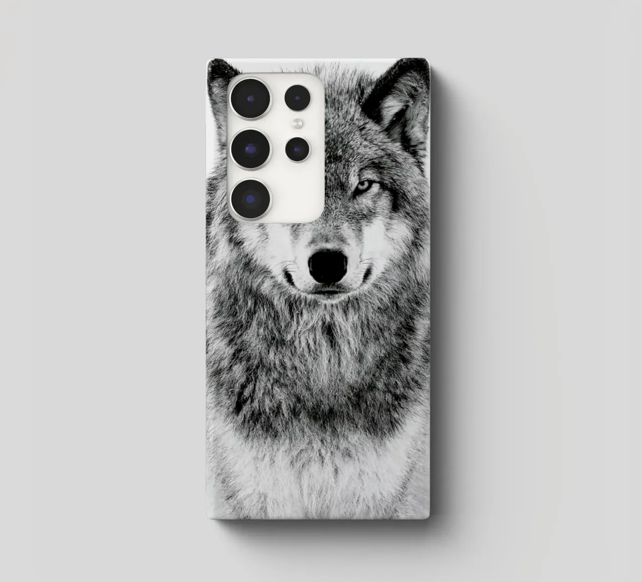 Winter Warrior samsung hoesje van Natural Kingdom