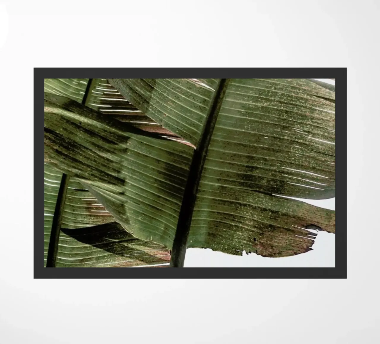 Gold Leaf deurmat van Shot By Clint