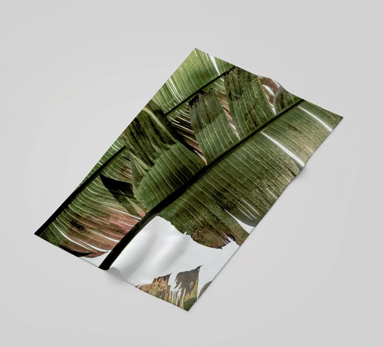 Gold Leaf telo mare da Shot By Clint