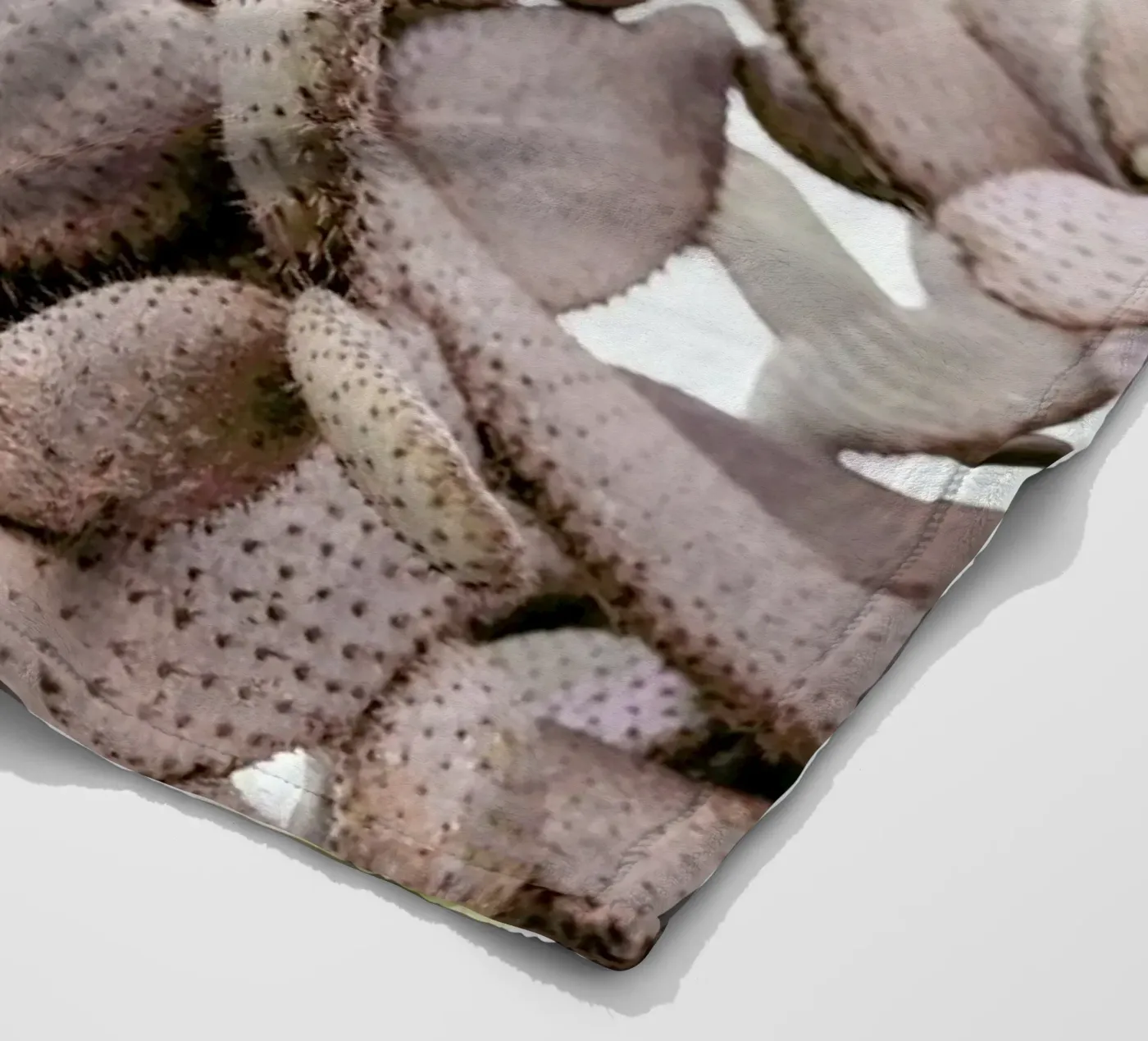 Cacti Fleecedecke von Chris Abatzis