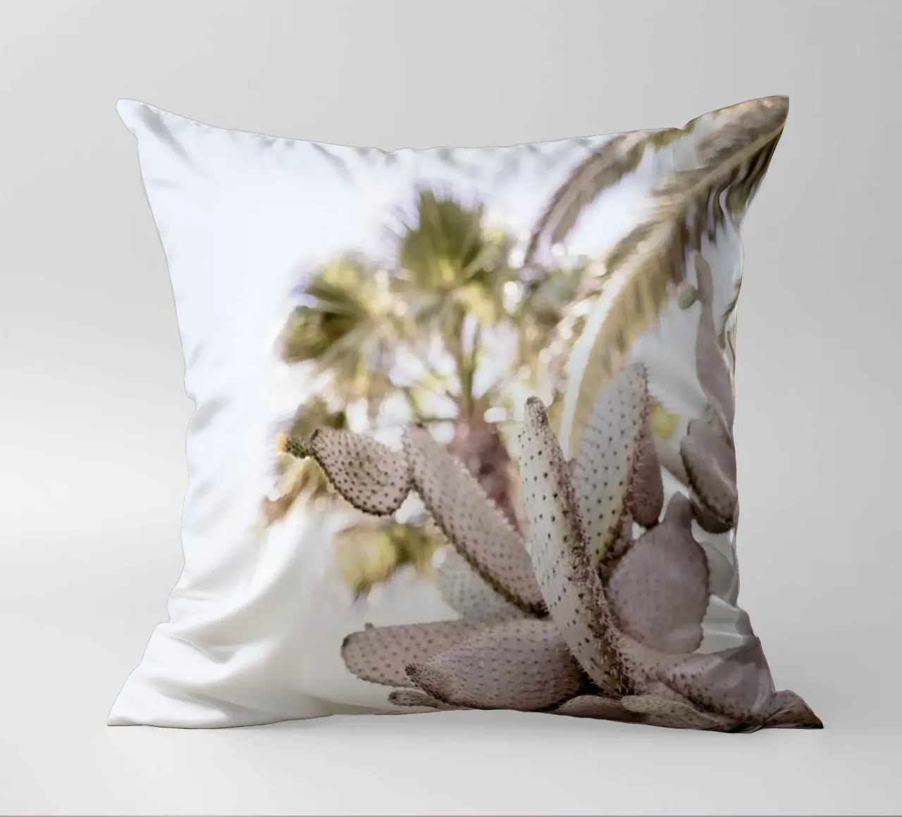 Cacti cuscino da Chris Abatzis