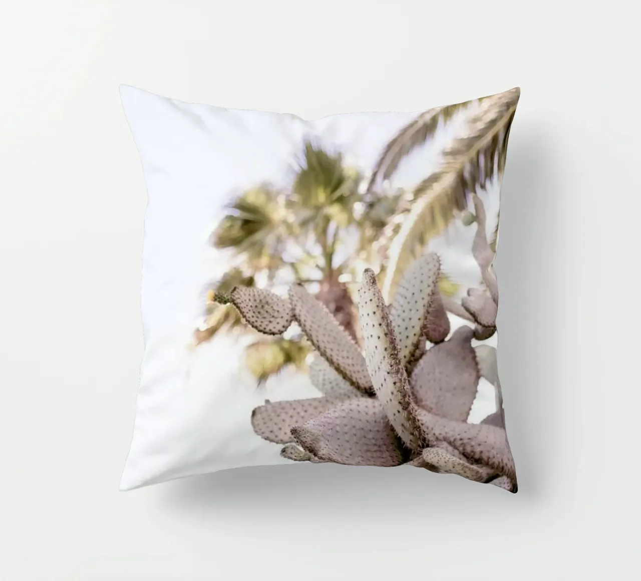 Cacti cuscino da Chris Abatzis