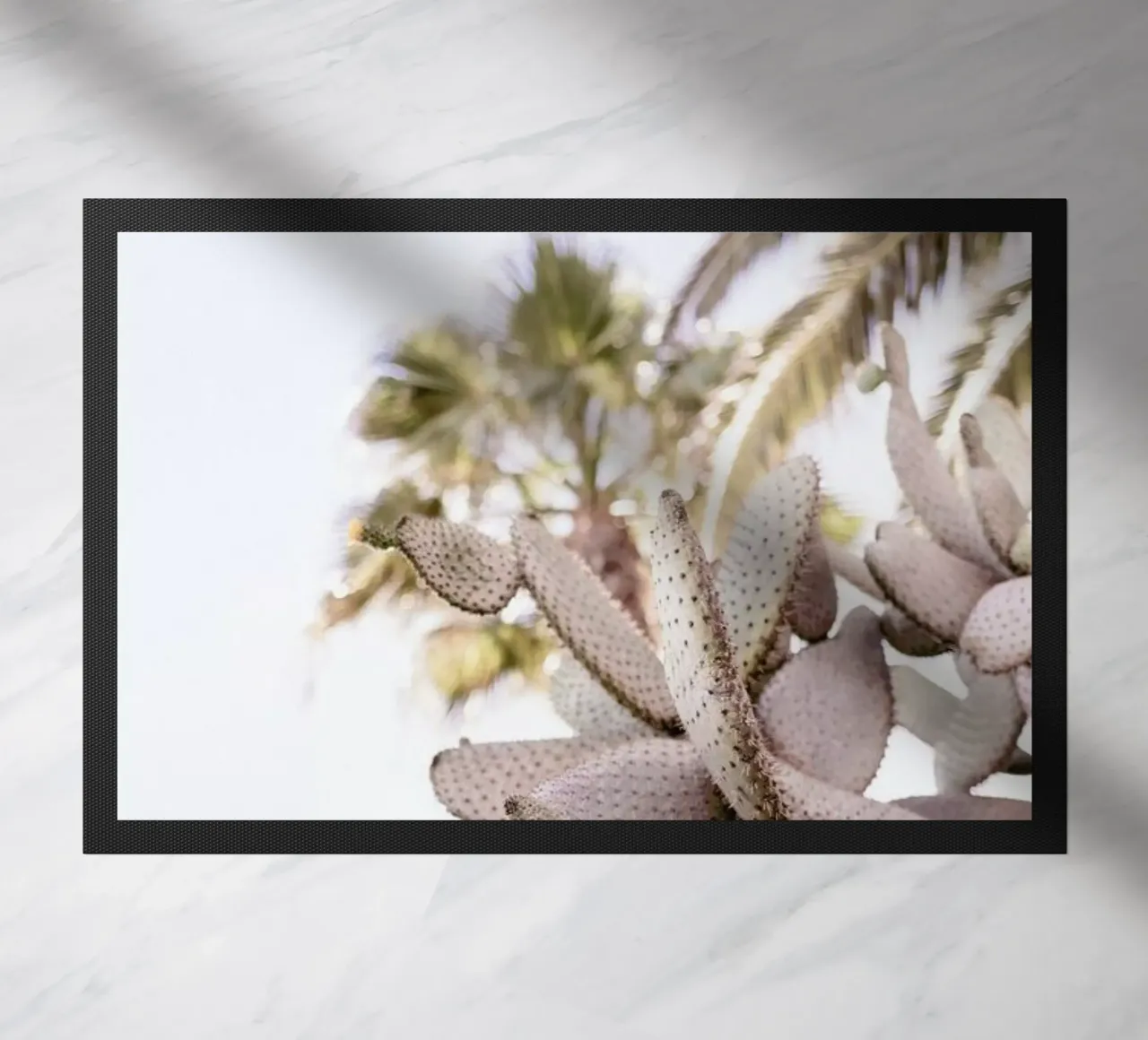 Cacti zerbino da Chris Abatzis