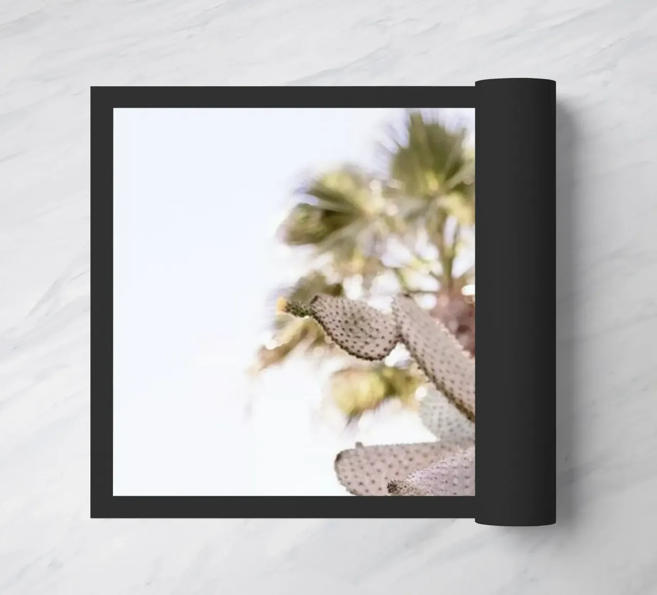 Cacti zerbino da Chris Abatzis