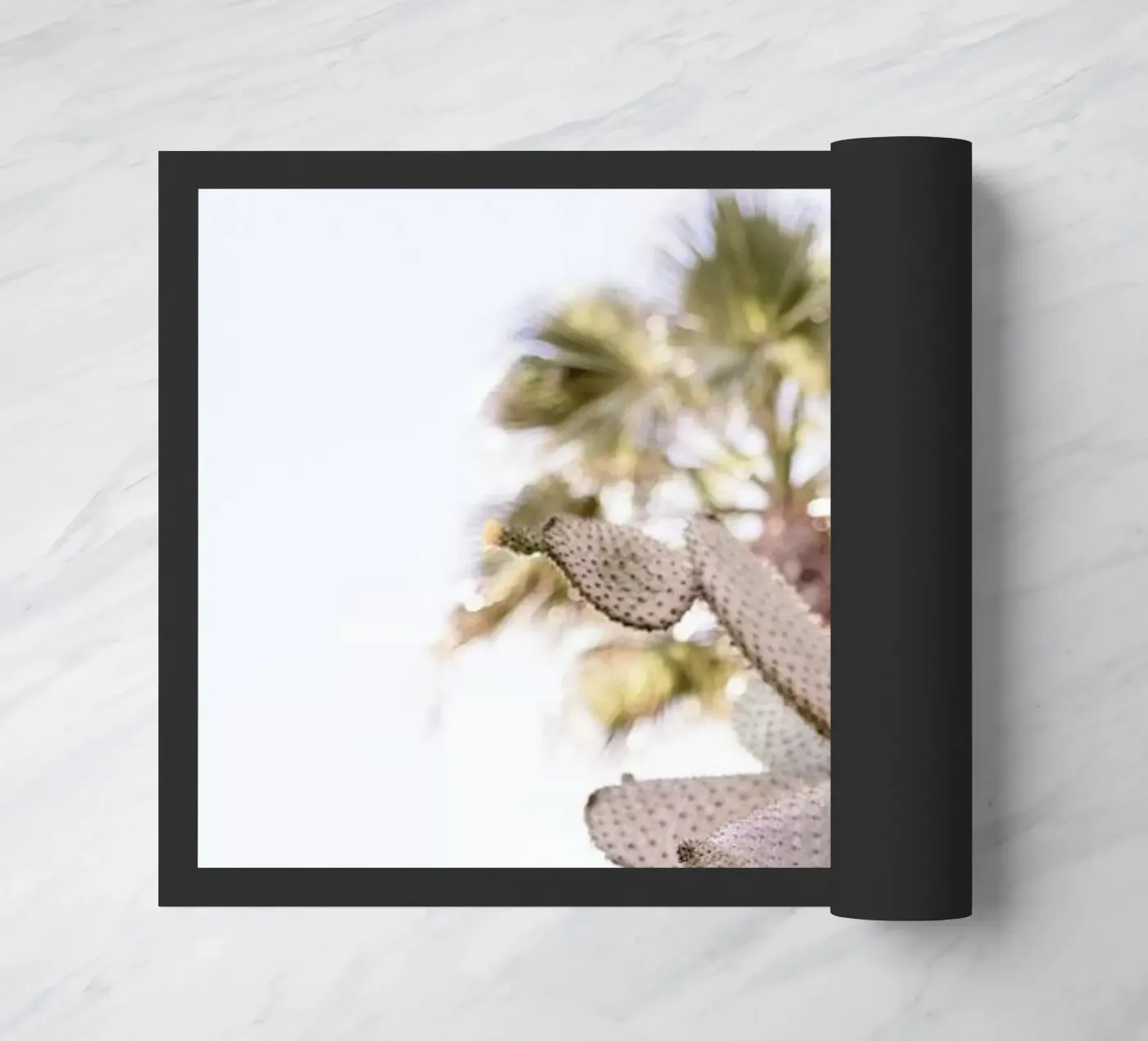 Cacti deurmat van Chris Abatzis