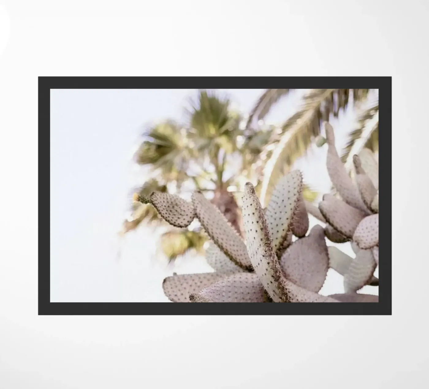 Cacti deurmat van Chris Abatzis