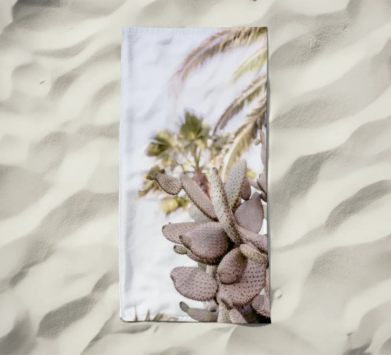 Cacti telo mare da Chris Abatzis