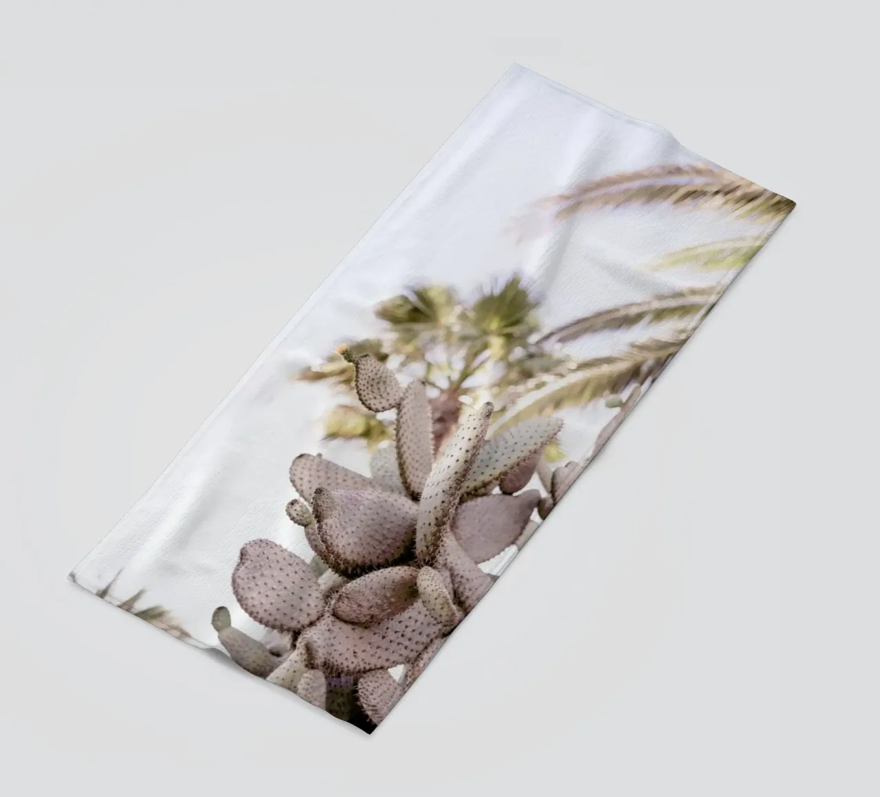 Cacti telo mare da Chris Abatzis