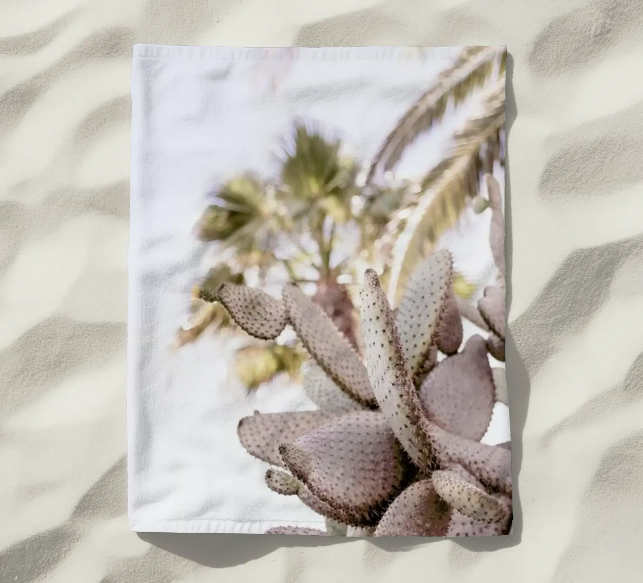 Cacti telo mare da Chris Abatzis