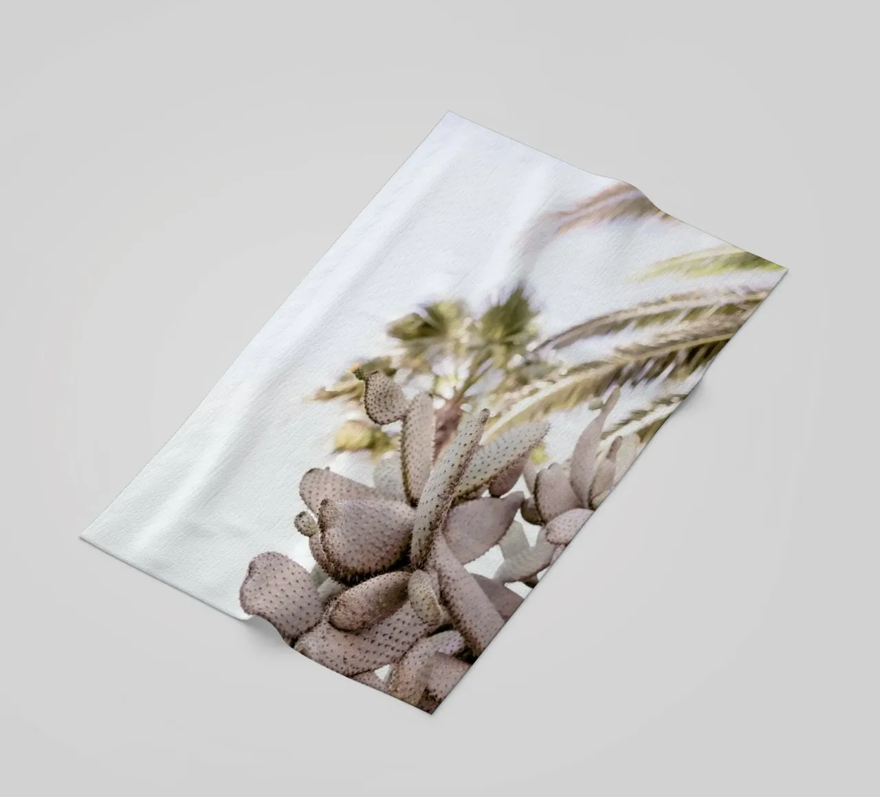 Cacti telo mare da Chris Abatzis