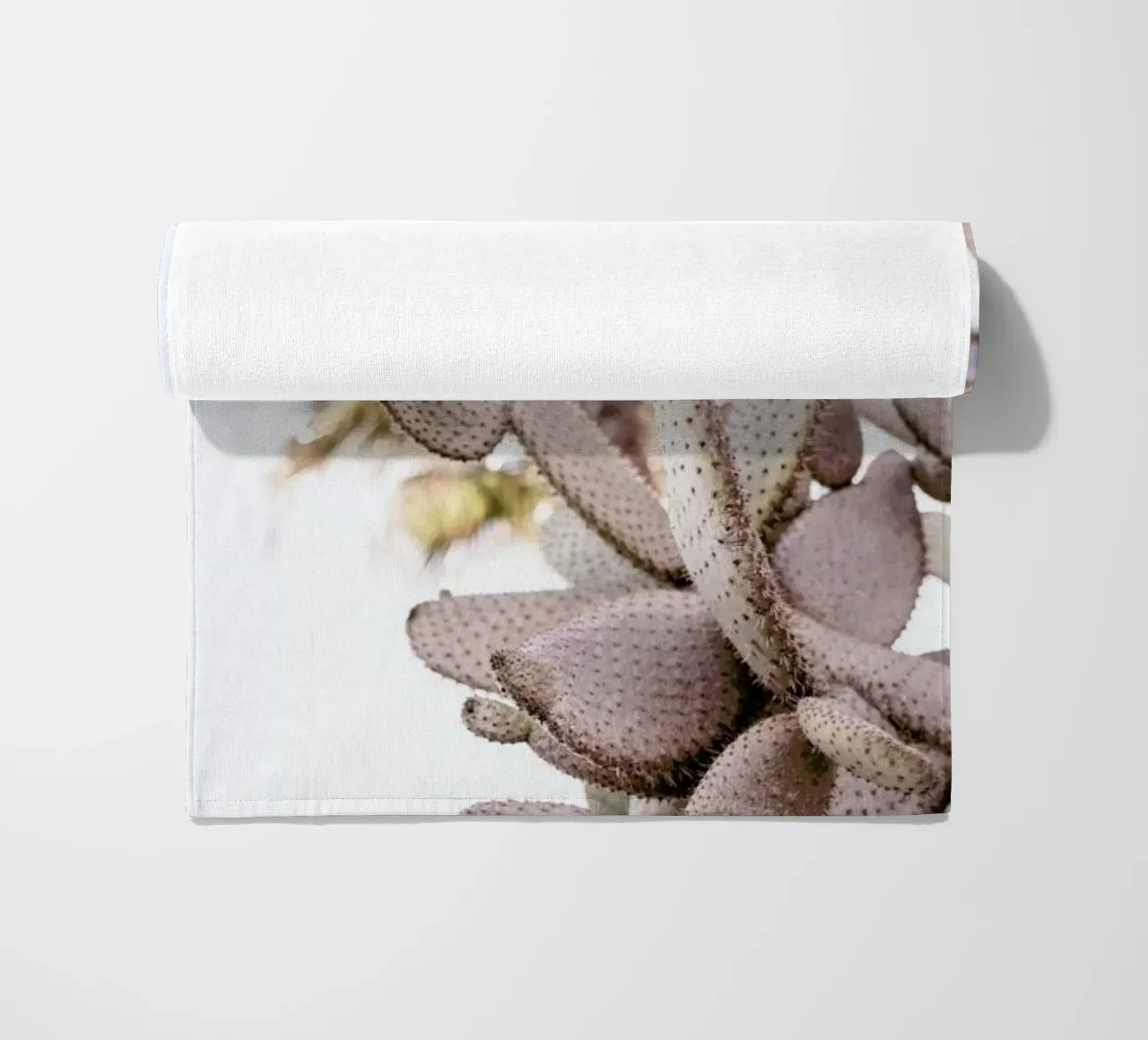 Cacti telo mare da Chris Abatzis