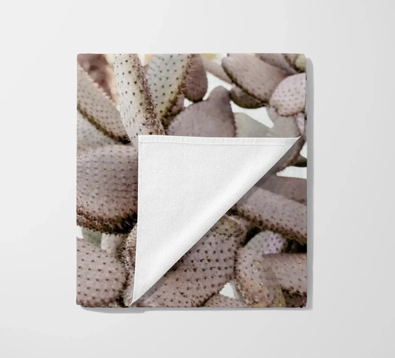 Cacti telo mare da Chris Abatzis