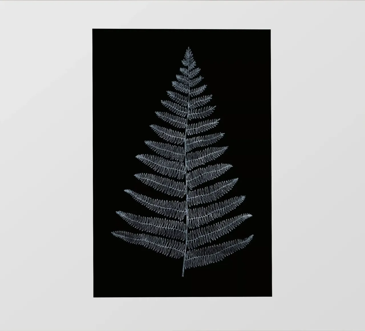 Botanica Minimalistica No.2 pellicola backlit da Kubistika