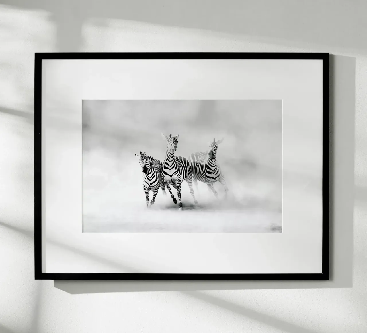 ZEBRAS - Juan Luis Duran poster con telaio in legno da Pictufy