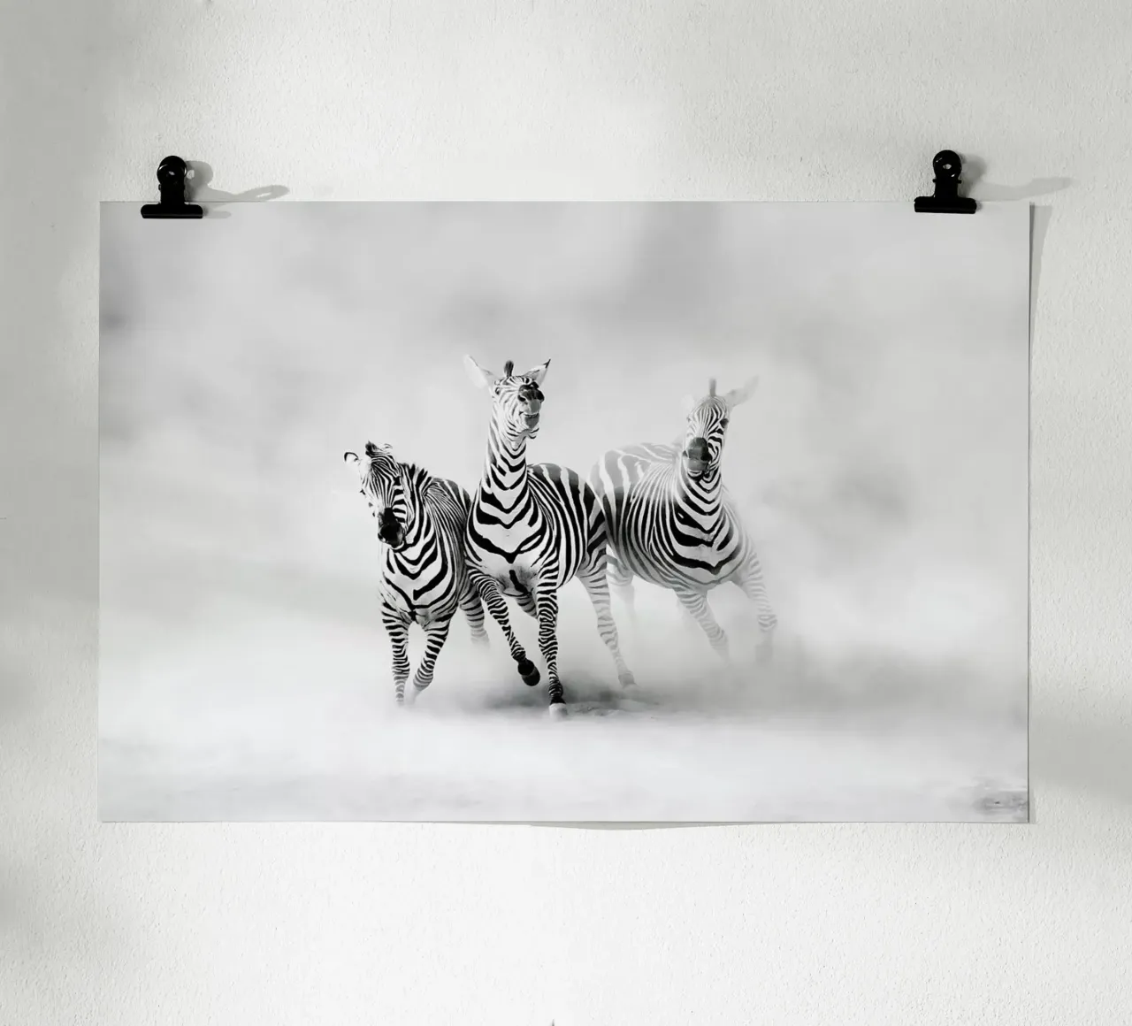 ZEBRAS - Juan Luis Duran poster con telaio in legno da Pictufy