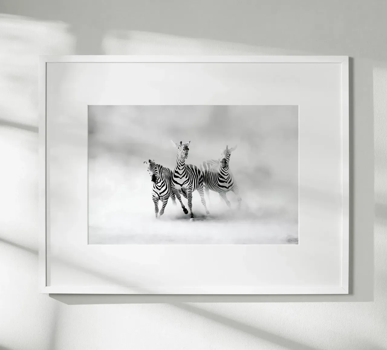 ZEBRAS - Juan Luis Duran poster con telaio in legno da Pictufy