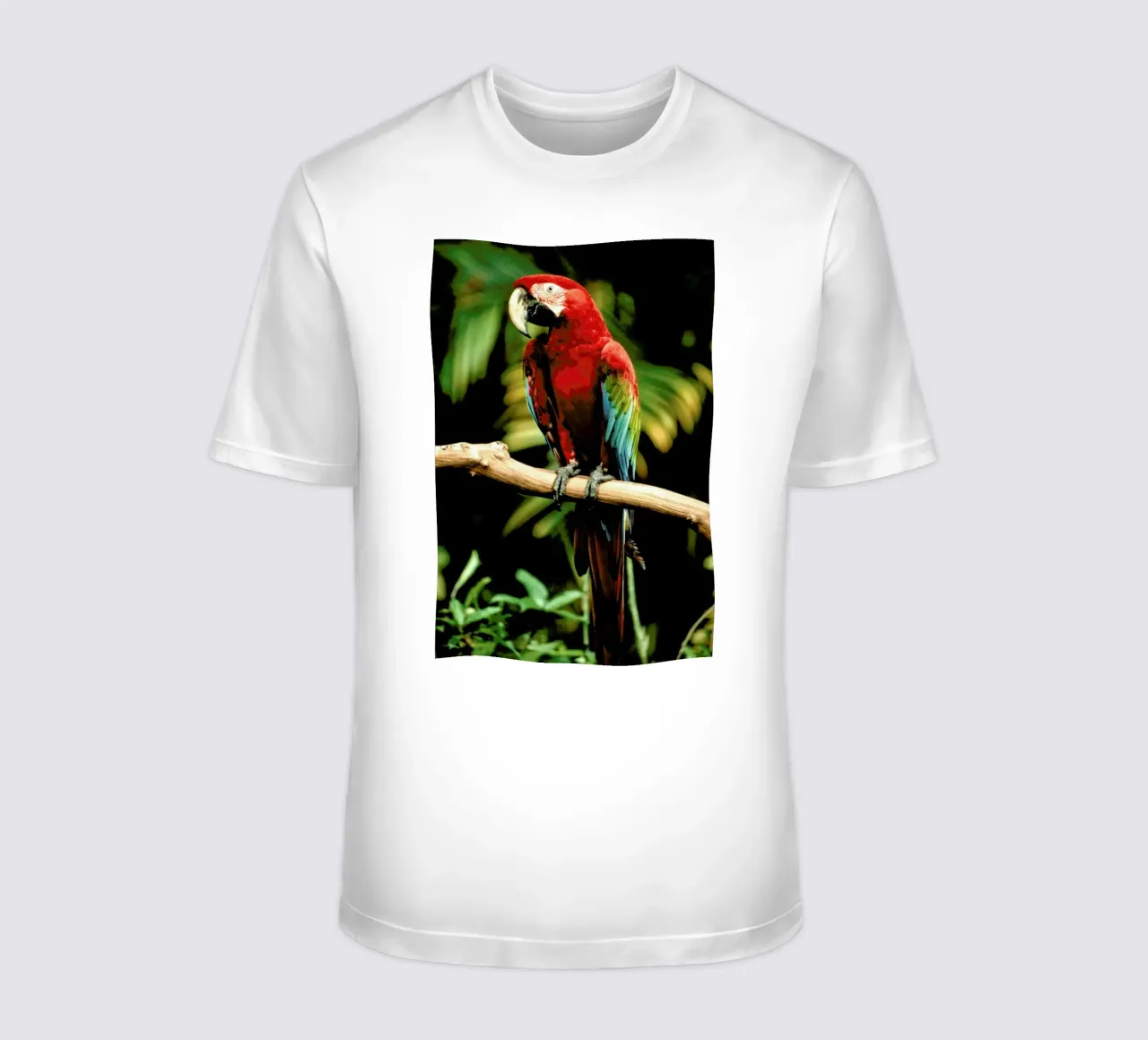 Perching Parrot t-shirt da Natural Kingdom