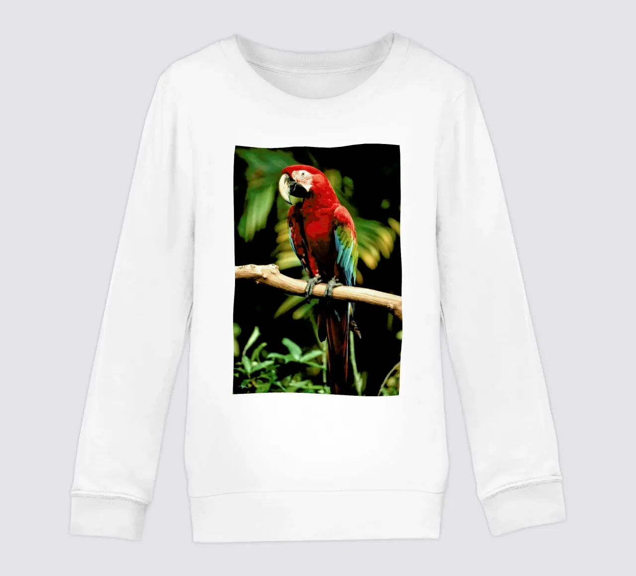 Perching Parrot felpa bambino da Natural Kingdom