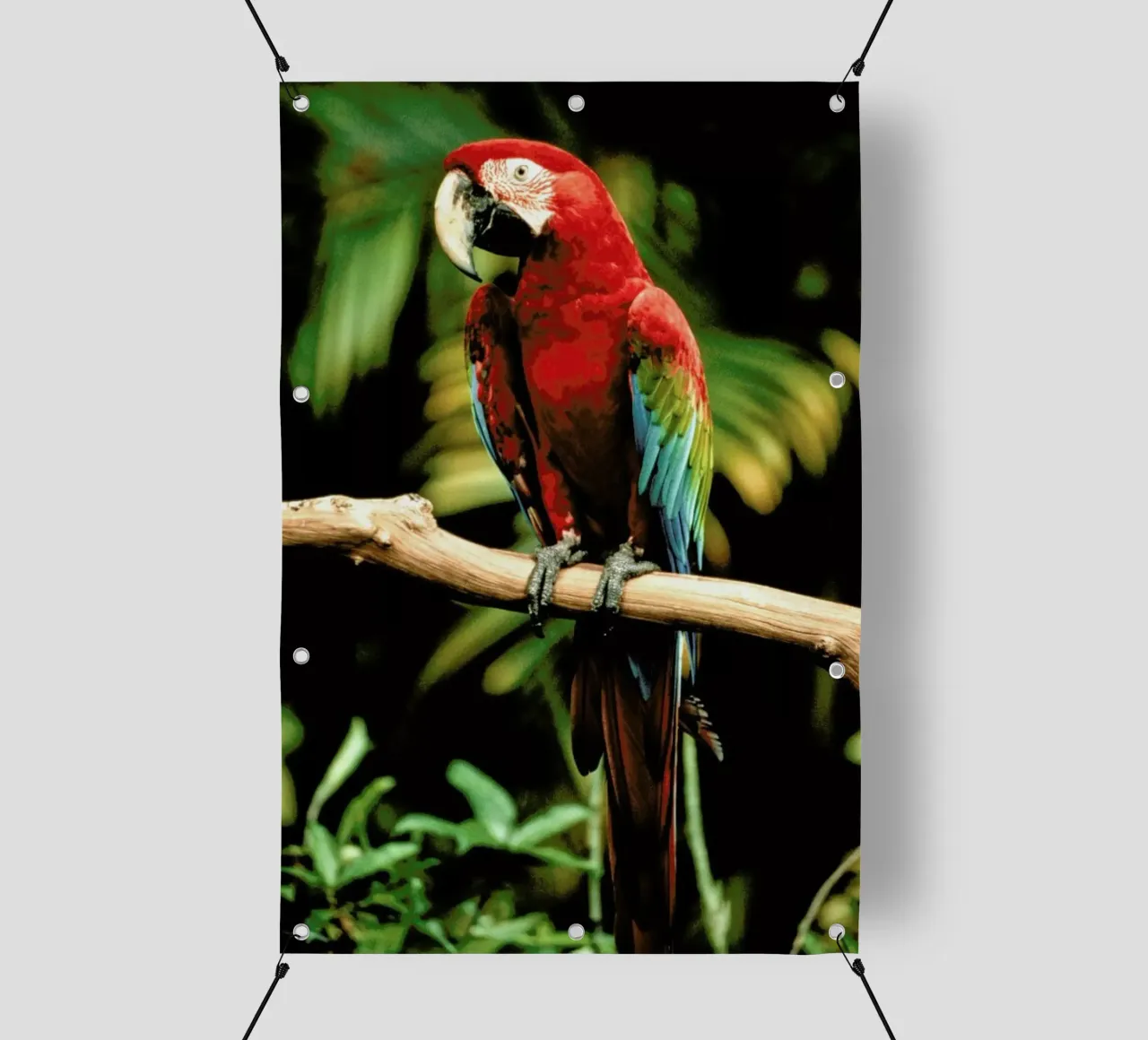 Perching Parrot telo in pvc da Natural Kingdom