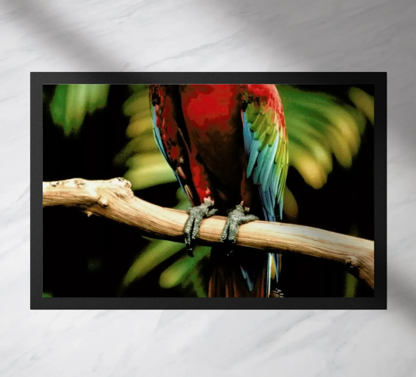 Perching Parrot zerbino da Natural Kingdom