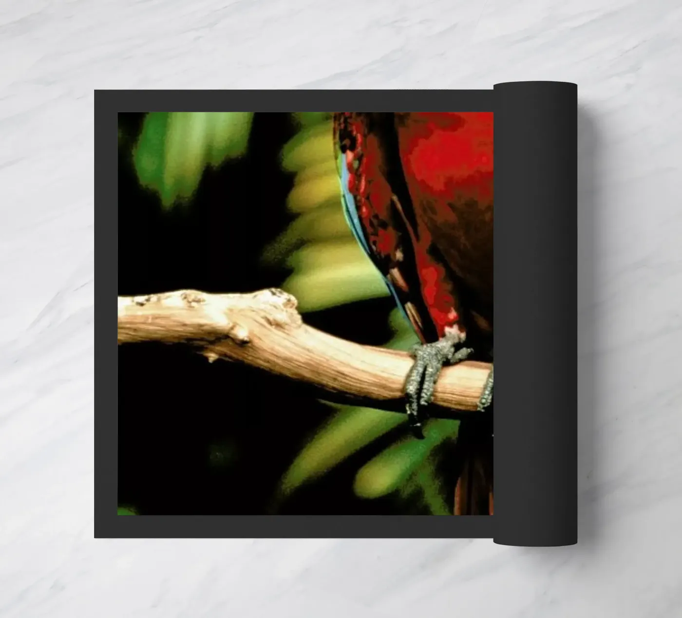 Perching Parrot zerbino da Natural Kingdom