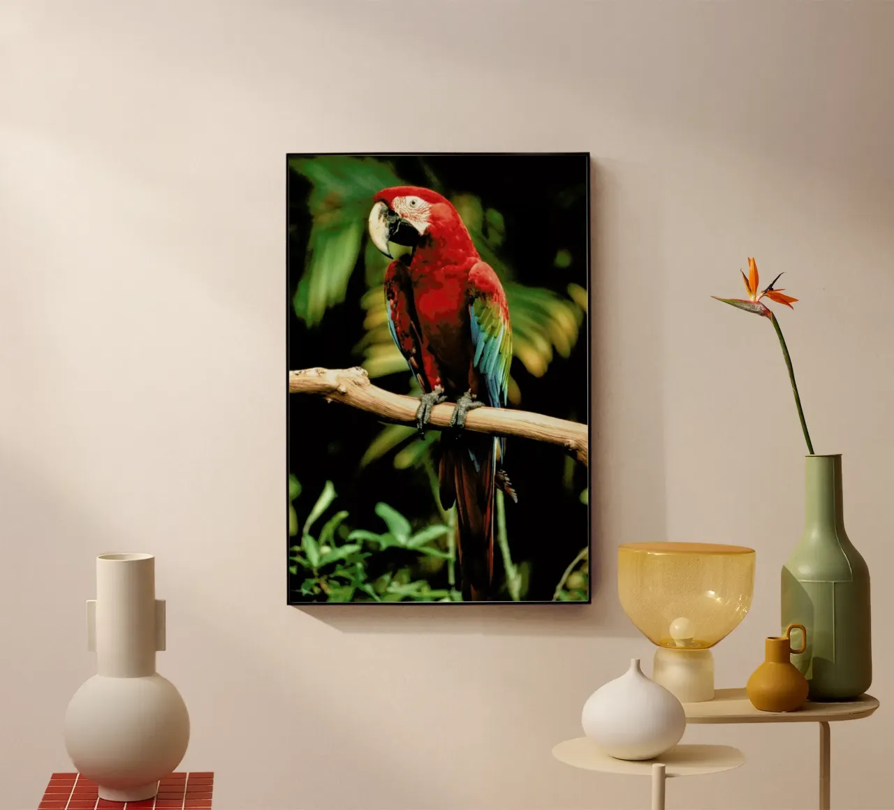Perching Parrot plexiglass da Natural Kingdom