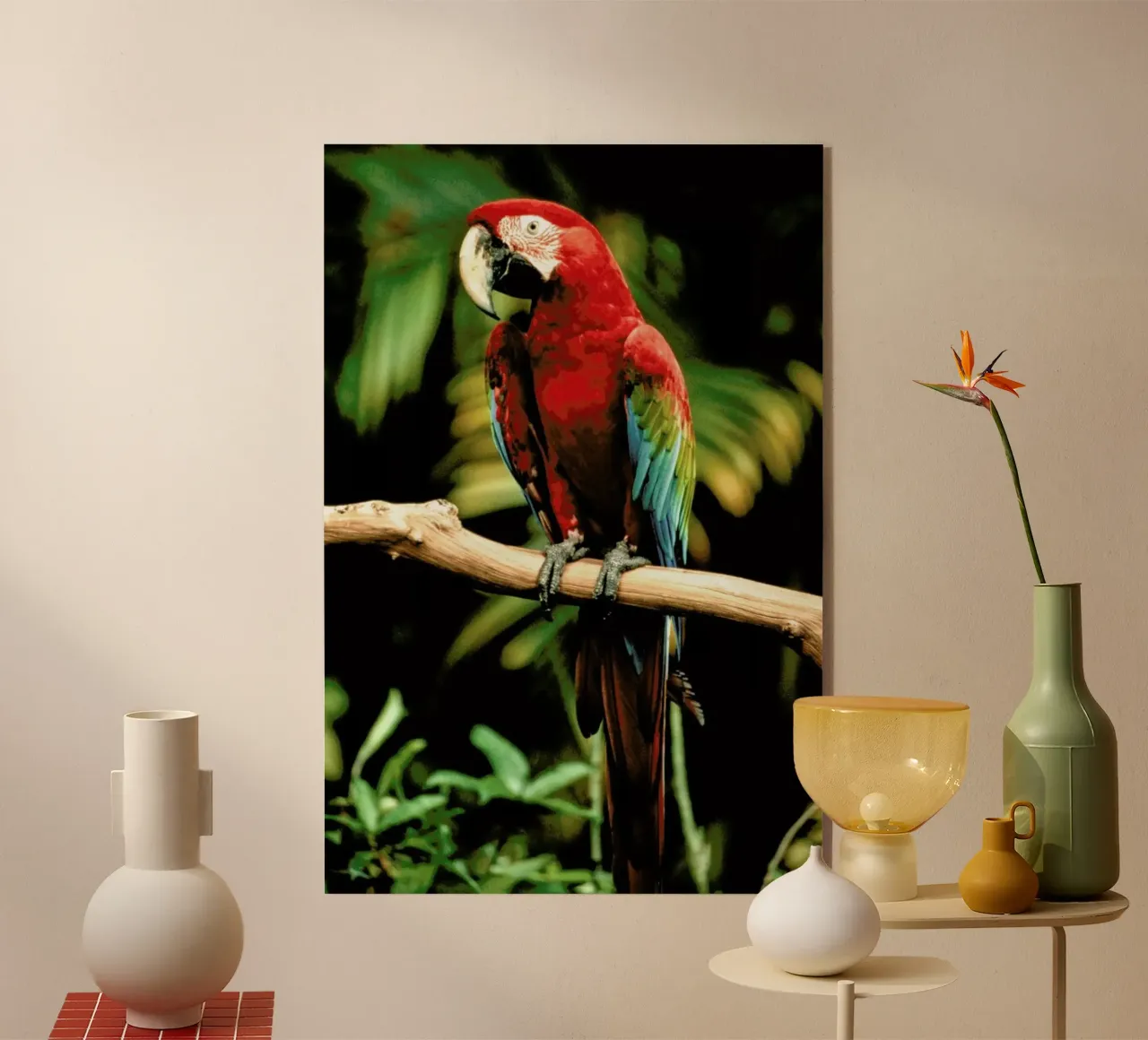 Perching Parrot plexiglass da Natural Kingdom