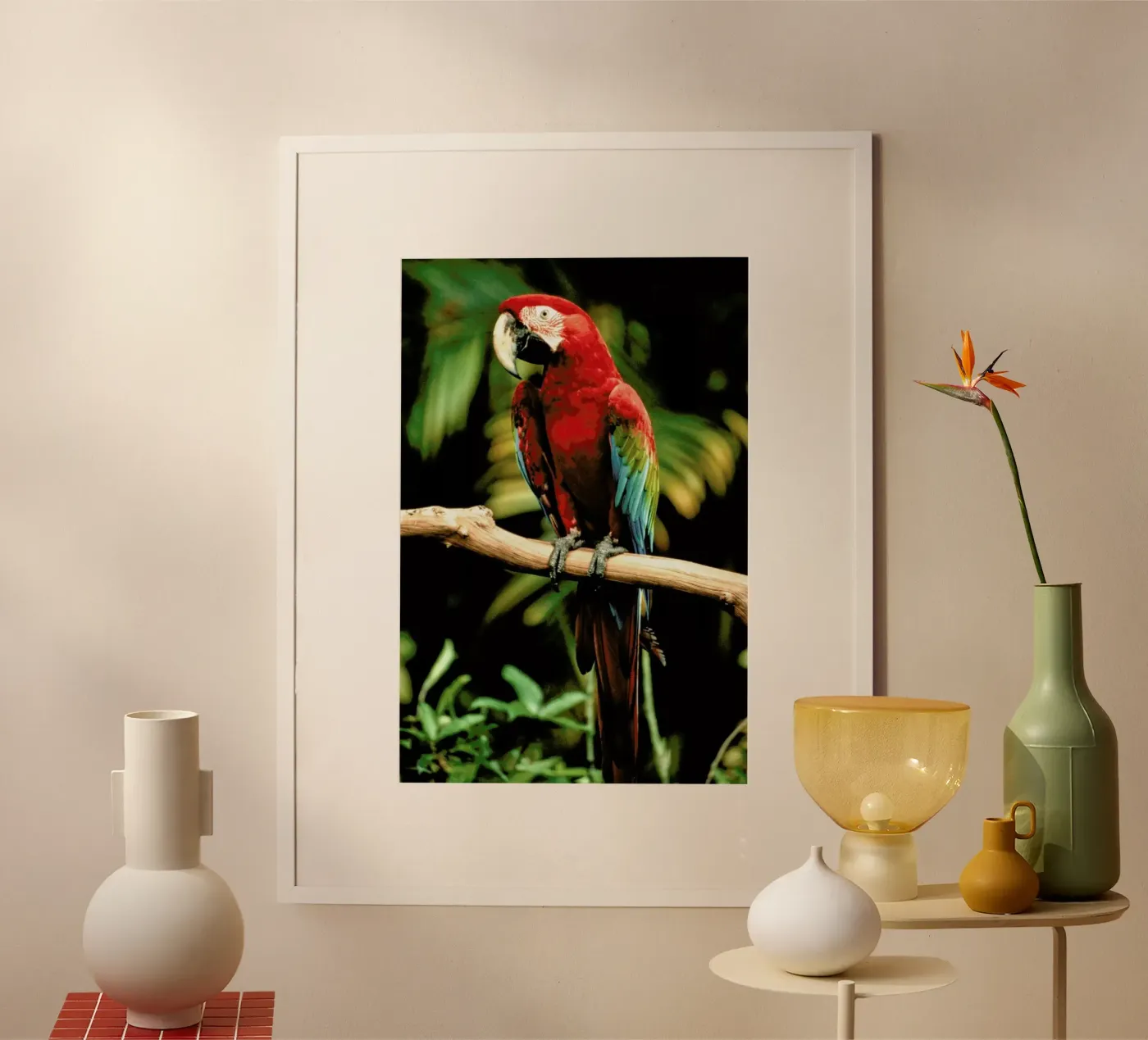 Perching Parrot poster da Natural Kingdom
