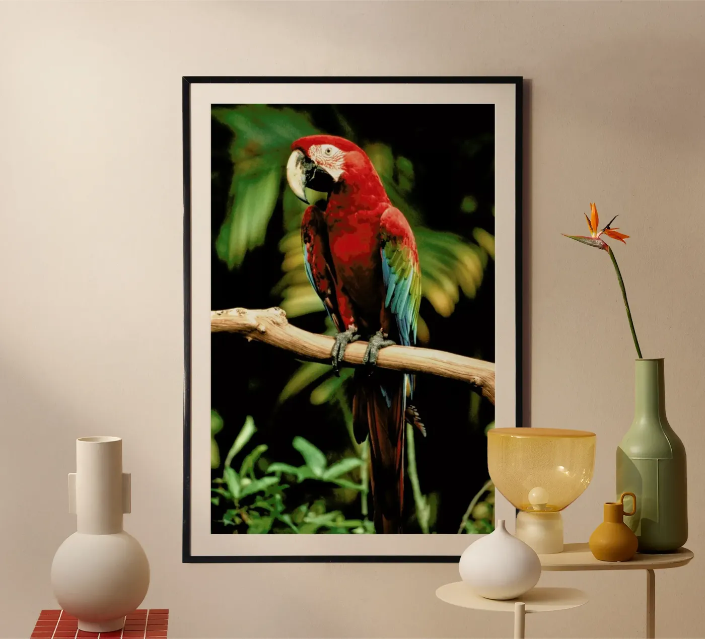 Perching Parrot poster da Natural Kingdom