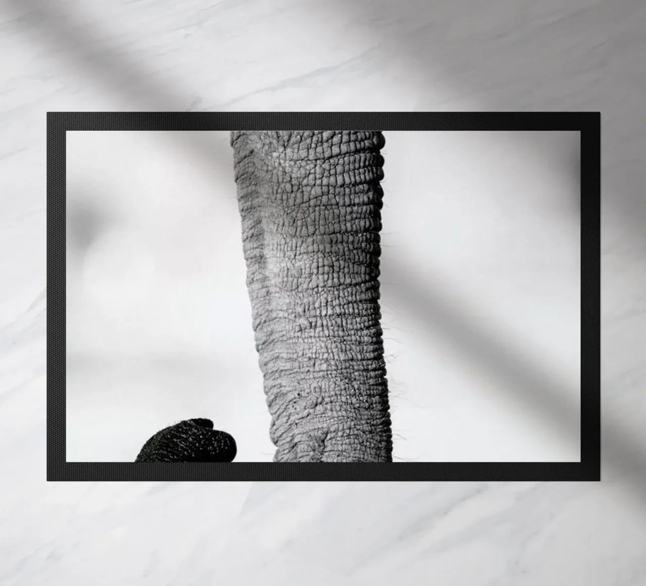 Trunk zerbino da Natural Kingdom