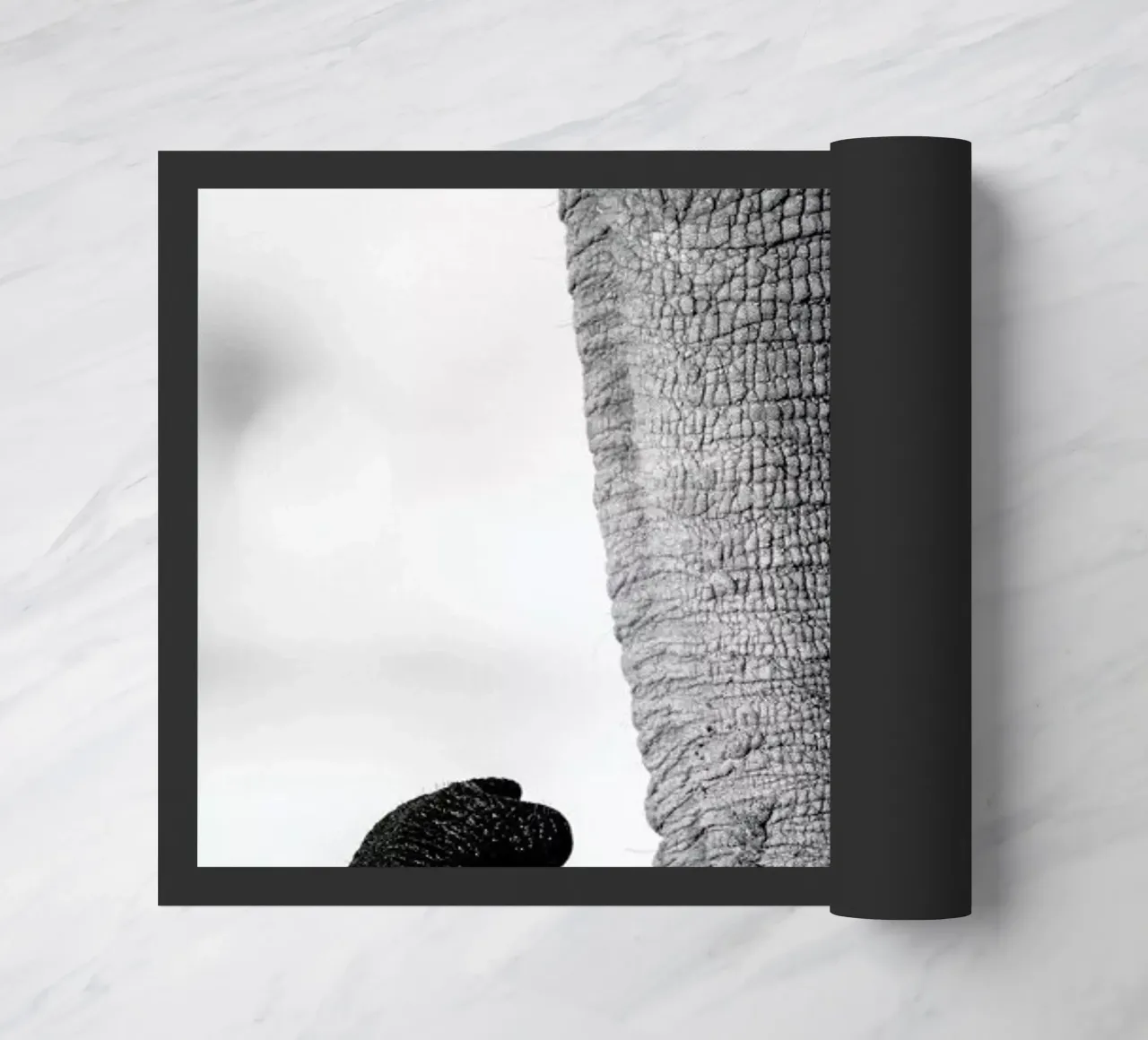 Trunk zerbino da Natural Kingdom