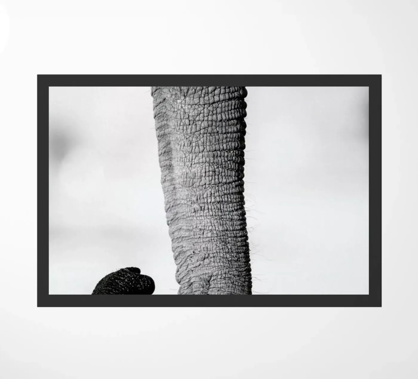 Trunk doormat by Natural Kingdom