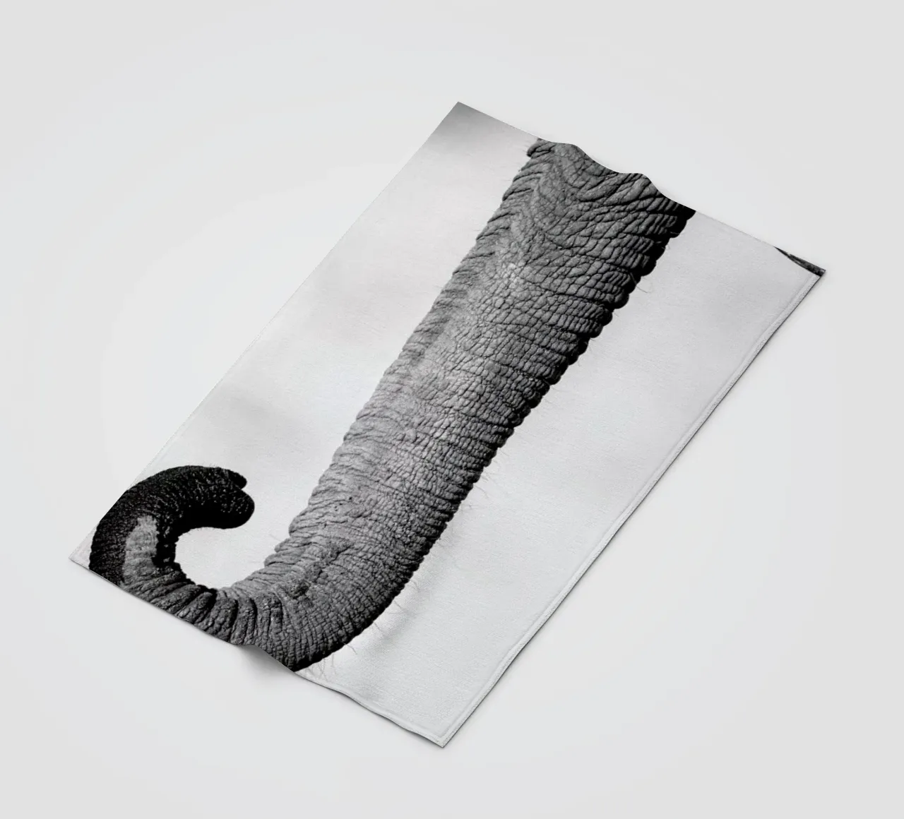 Trunk plaid polaire de Natural Kingdom