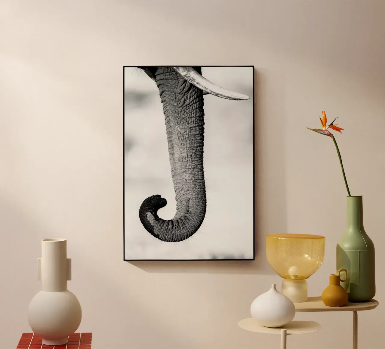 Trunk plexiglass da Natural Kingdom