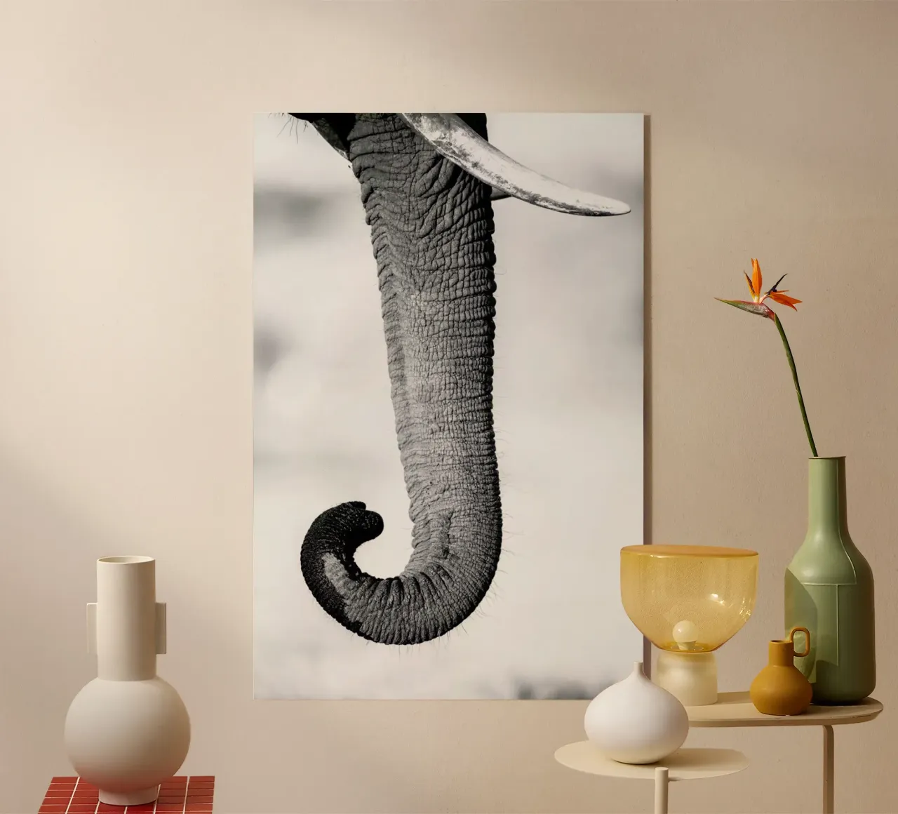 Trunk plexiglass da Natural Kingdom