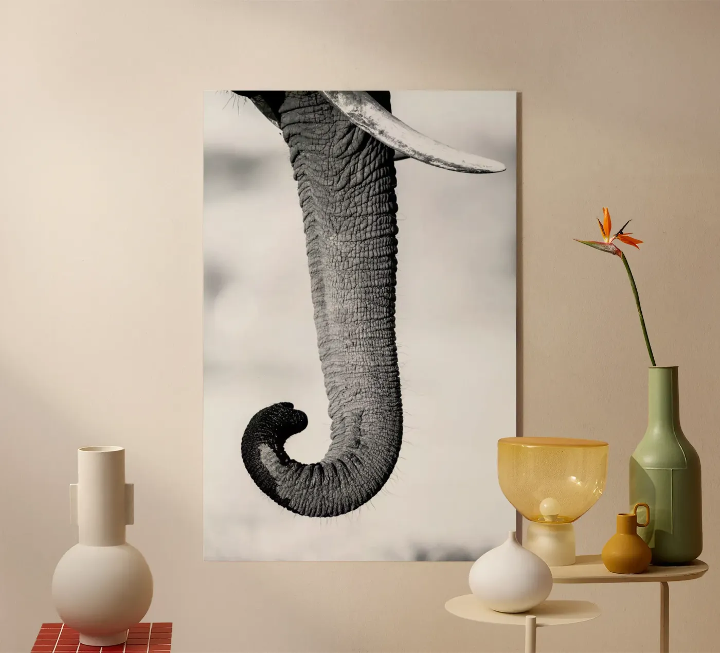 Trunk Acryl-Glas von Natural Kingdom