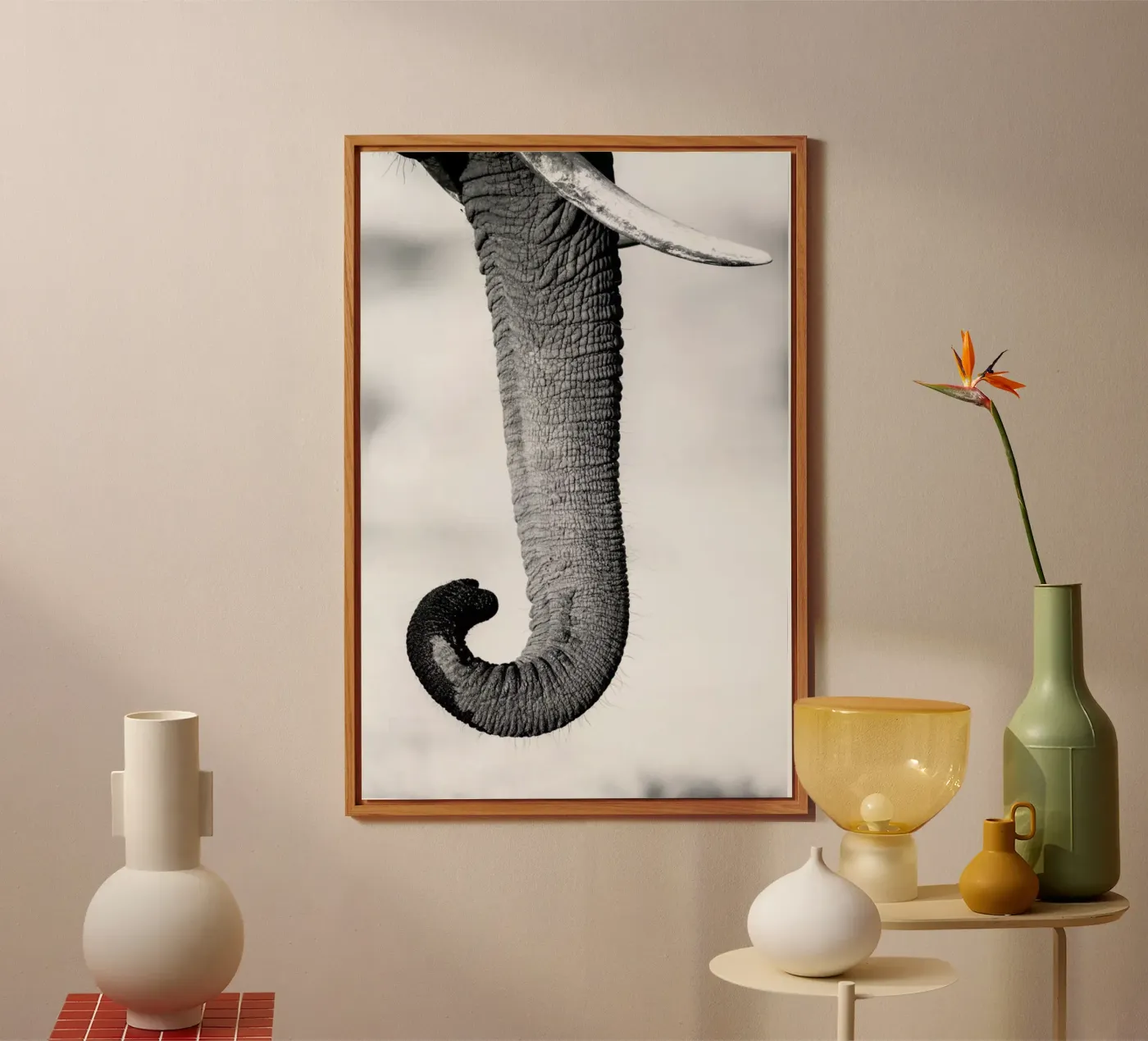 Trunk forex-plaat van Natural Kingdom