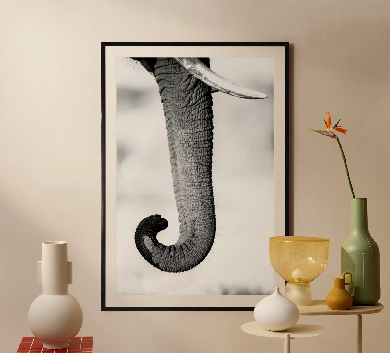 Trunk poster van Natural Kingdom