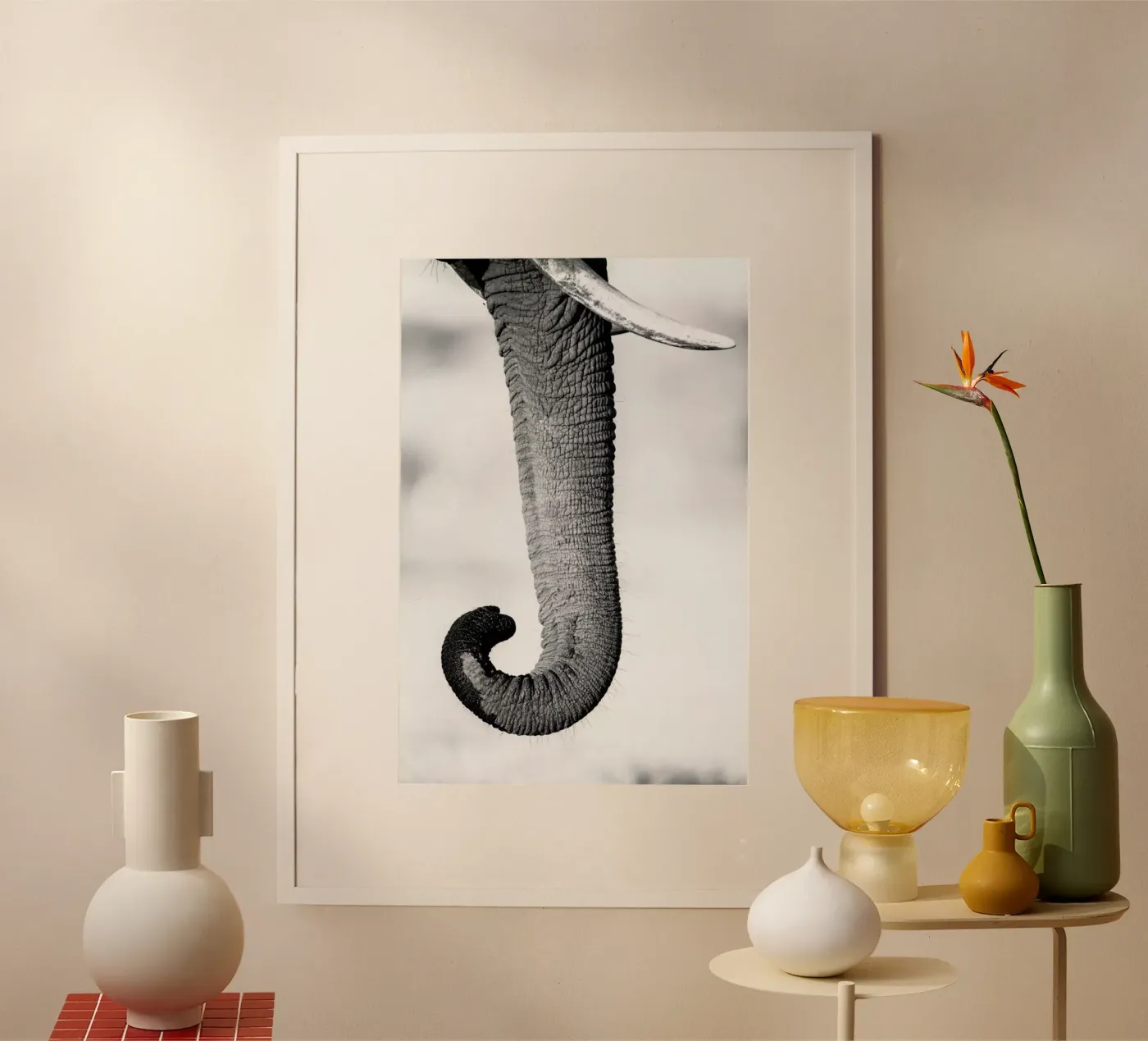 Trunk poster de Natural Kingdom