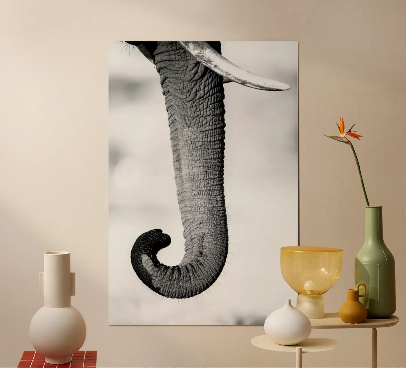 Trunk poster de Natural Kingdom