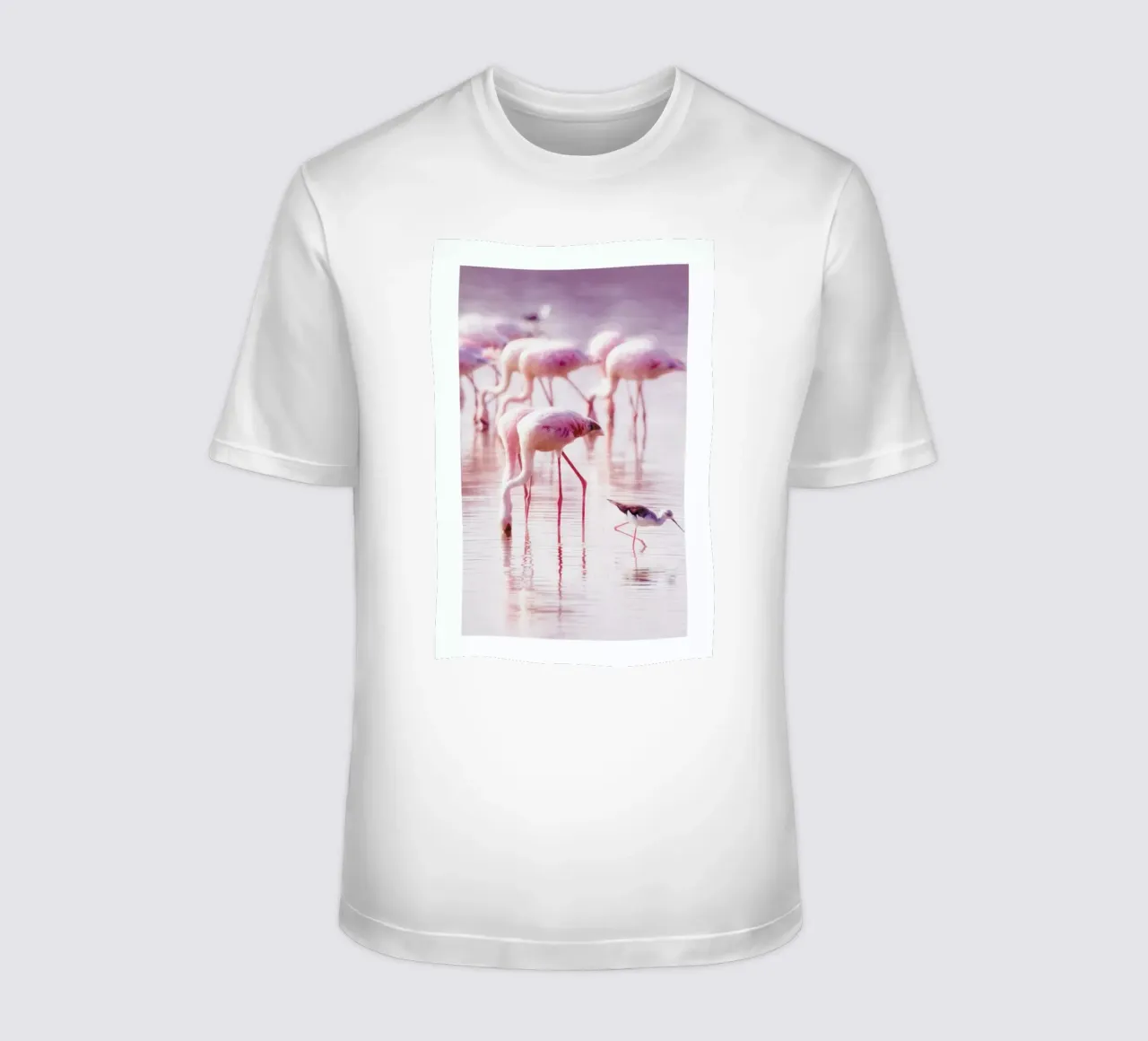 Flamingos in the Shallow t-shirt da Natural Kingdom