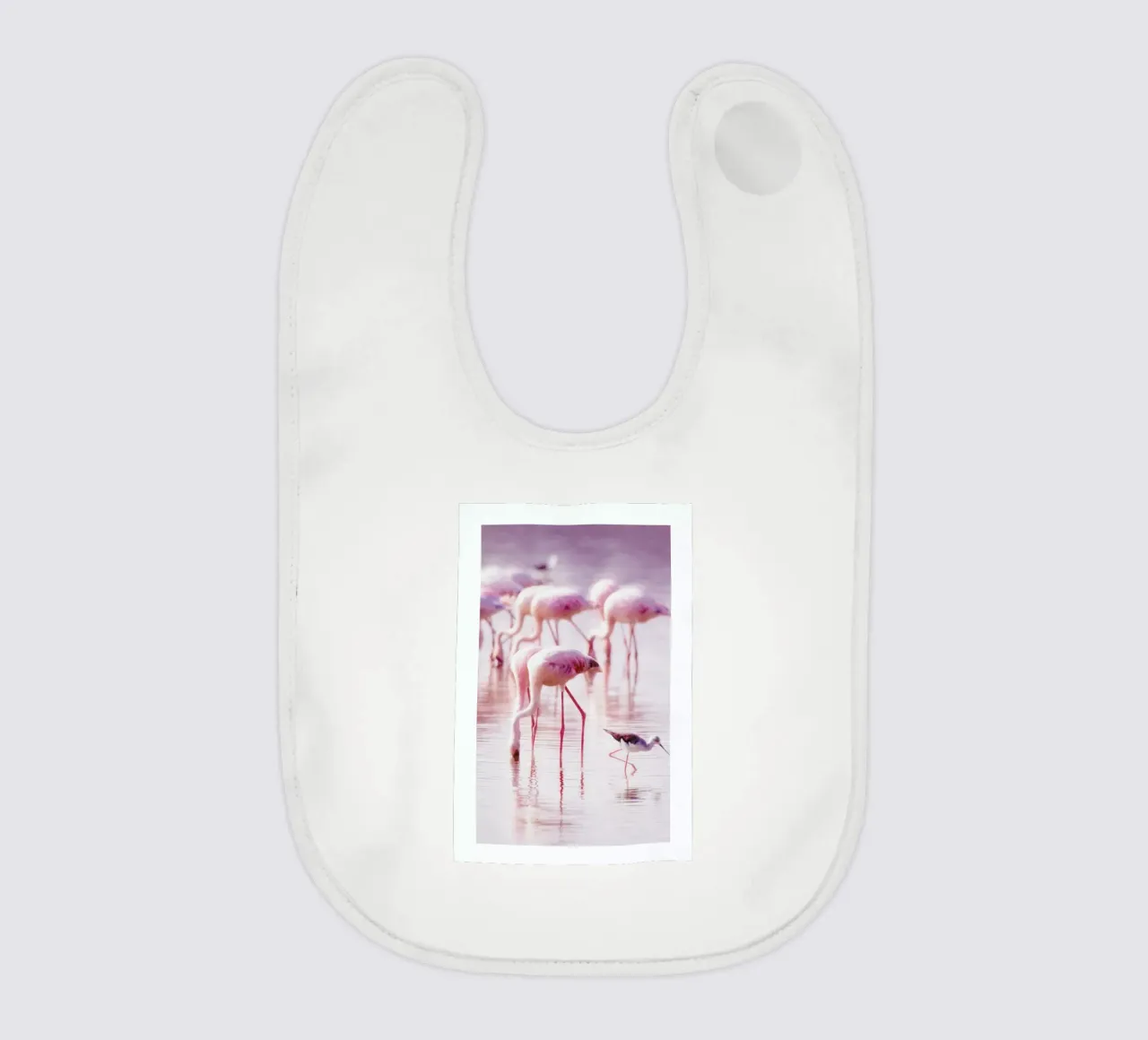 Flamingos in the Shallow bavaglino da Natural Kingdom