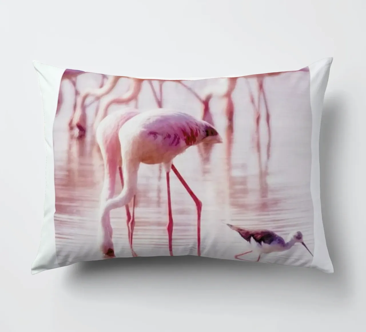 Flamingos in the Shallow cuscino da Natural Kingdom