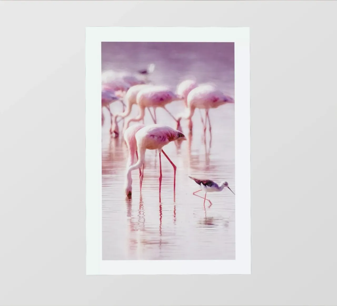 Flamingos in the Shallow telo in pvc da Natural Kingdom