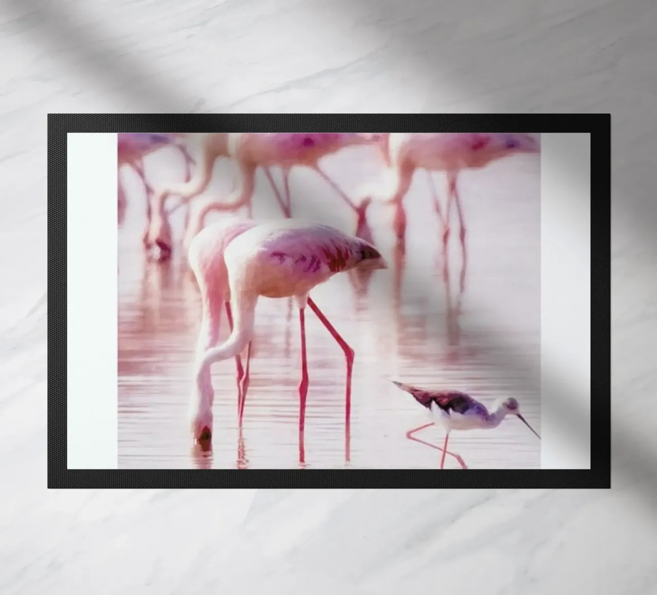 Flamingos in the Shallow zerbino da Natural Kingdom