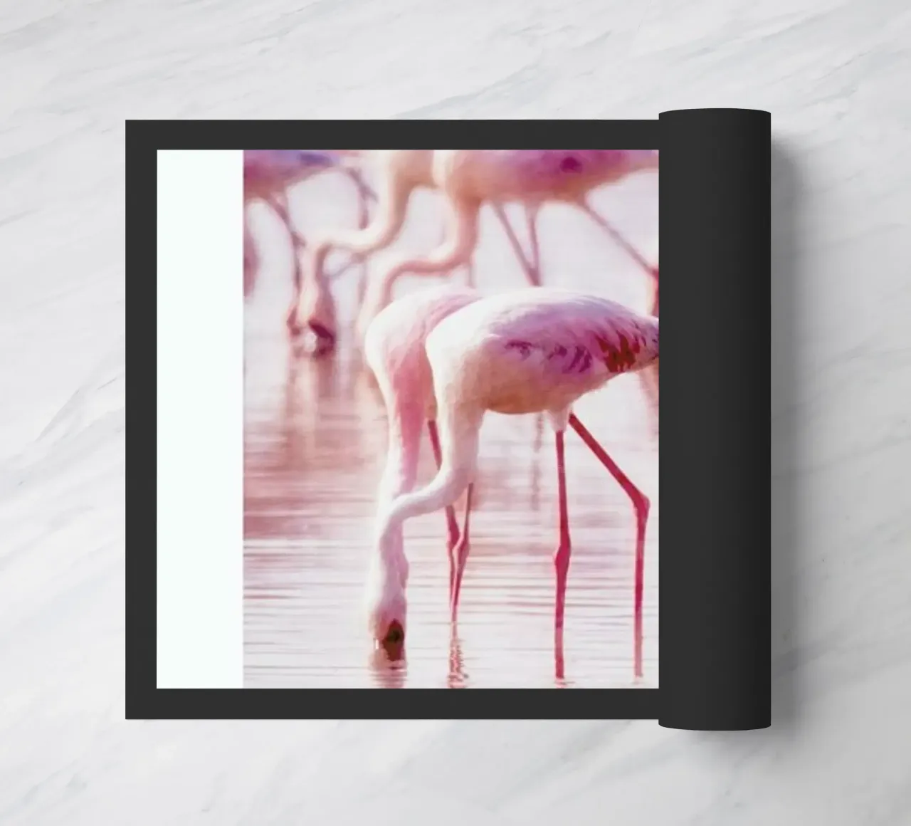 Flamingos in the Shallow zerbino da Natural Kingdom