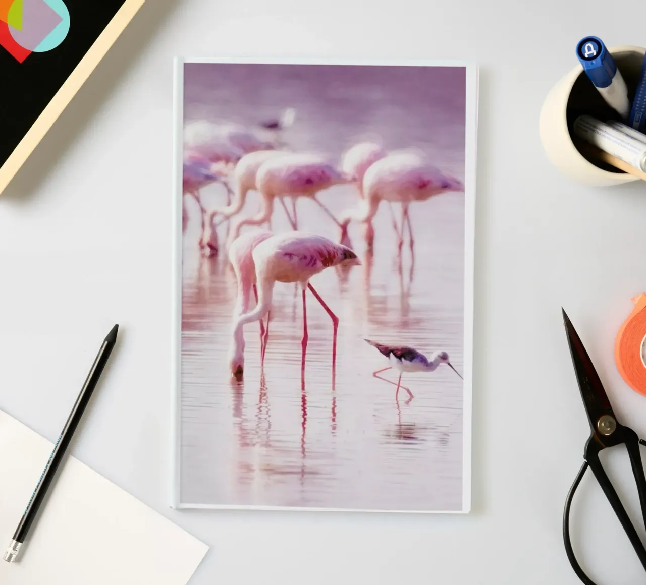 Flamingos in the Shallow notebook by Natural Kingdom