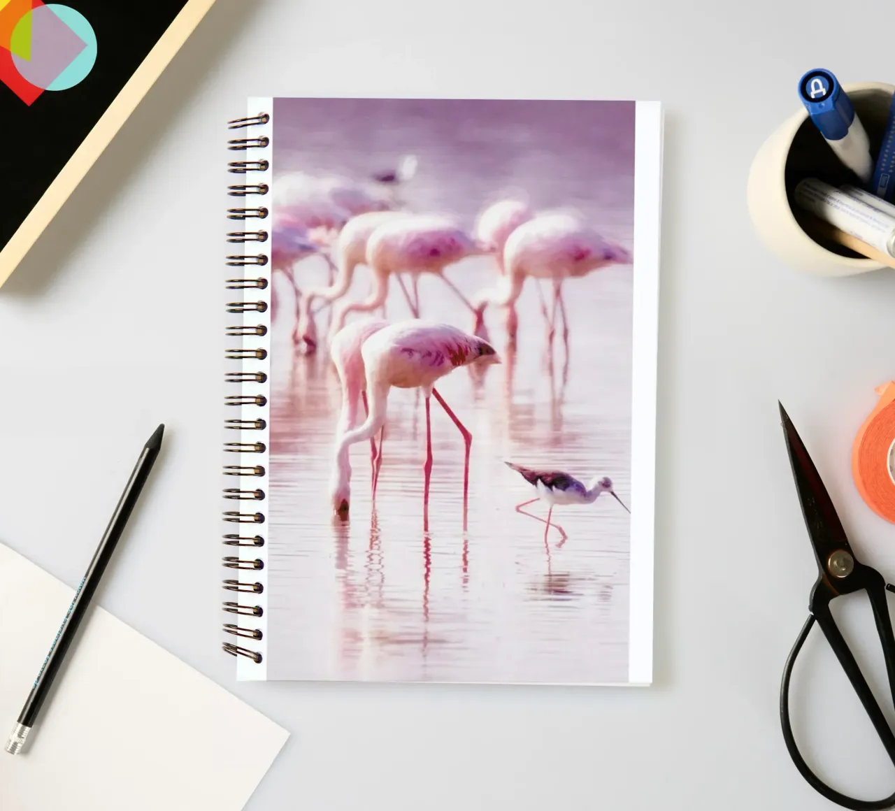 Flamingos in the Shallow spiral notebook by Natural Kingdom