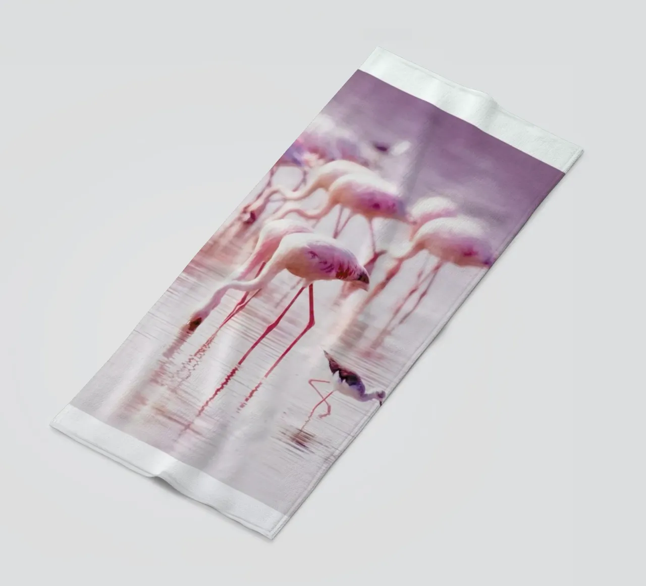 Flamingos in the Shallow telo mare da Natural Kingdom