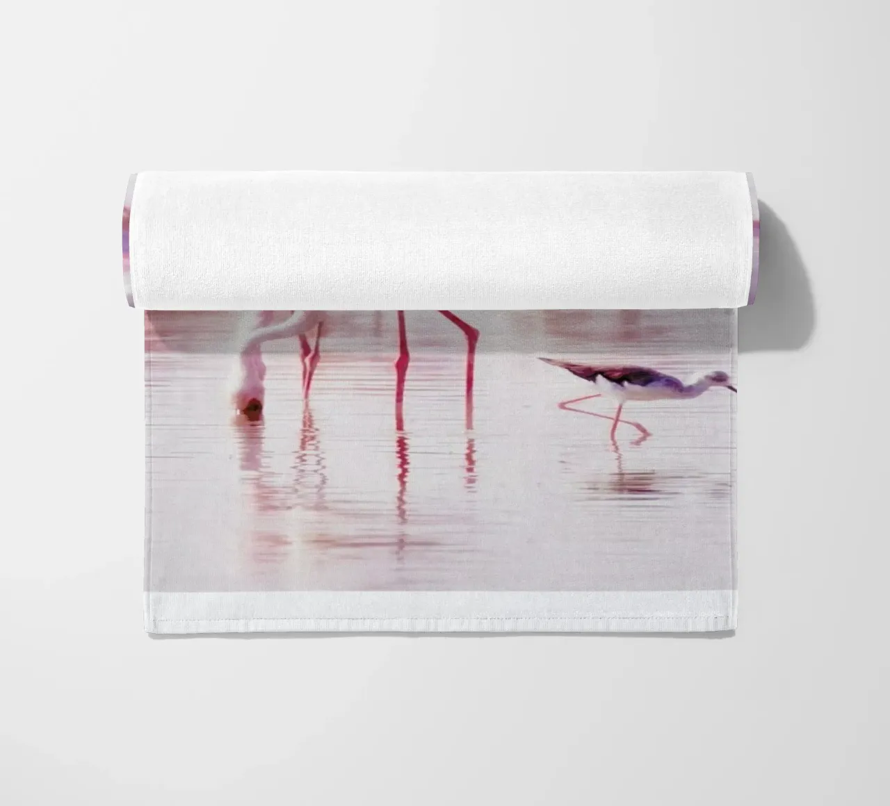 Flamingos in the Shallow telo mare da Natural Kingdom